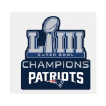 2019 Super Bowl LIII Champion Patch