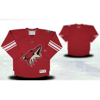 Phoenix Coyotes Youths Customized Red Jersey