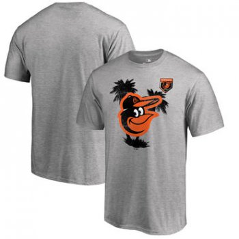 Baltimore Orioles Fanatics Branded 2018 MLB Spring Training Vintage T Shirt Heather Gray